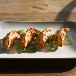 GYOZA MET KIPVULLING
